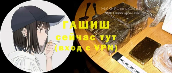 гашик Дмитриев