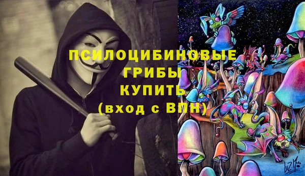 прущий лед Дмитровск