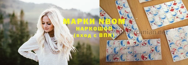 гашик Дмитриев