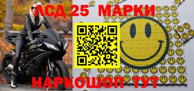 прущие грибы Будённовск
