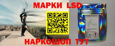 прущие грибы Будённовск