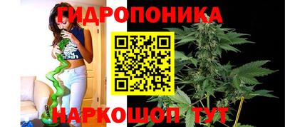 прущие грибы Будённовск