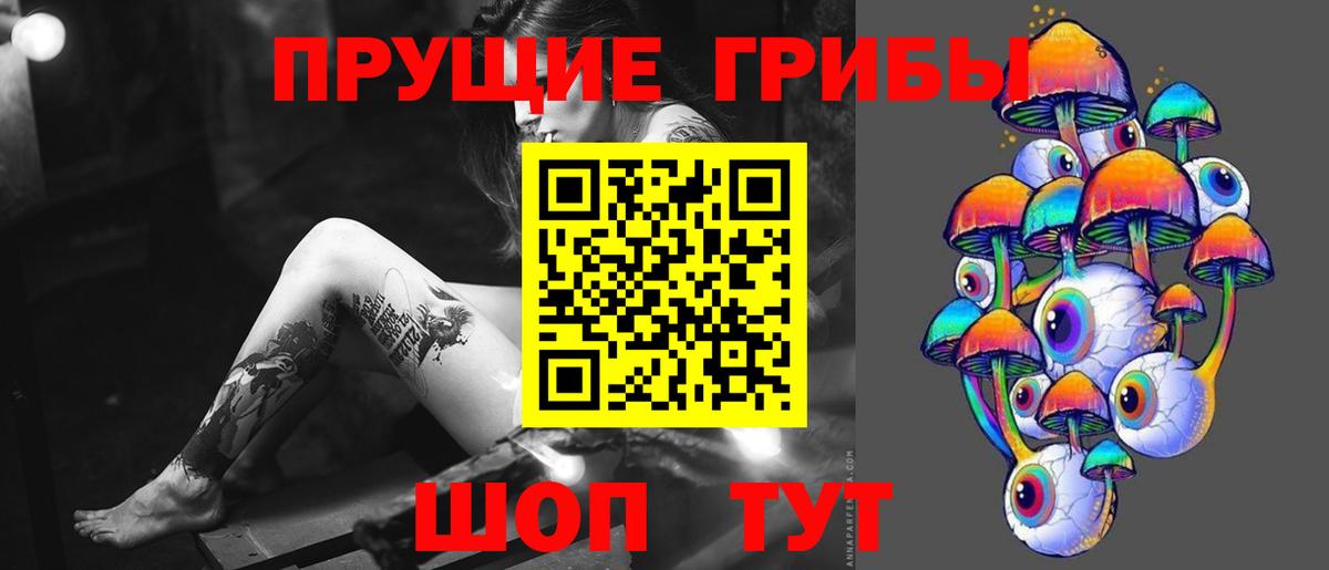 Псилоцибиновые грибы Cubensis  Ефремов  Псилоцибиновые грибы Cubensis 